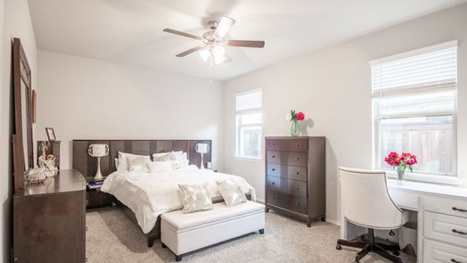 Conroe 2-story, 4-bed 16880 Pink Wintergreen Drive-idx
