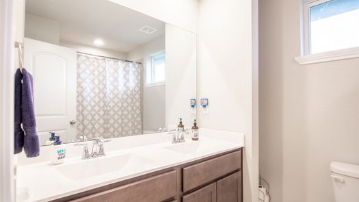 Conroe 2-story, 4-bed 16880 Pink Wintergreen Drive-idx