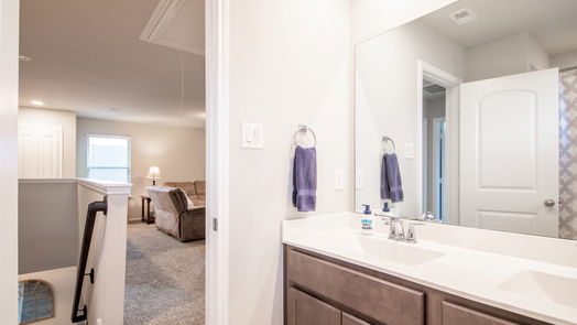 Conroe 2-story, 4-bed 16880 Pink Wintergreen Drive-idx