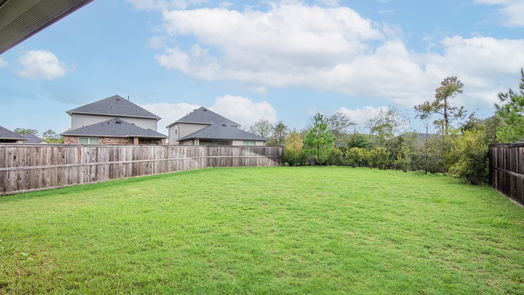 Conroe 2-story, 4-bed 16880 Pink Wintergreen Drive-idx