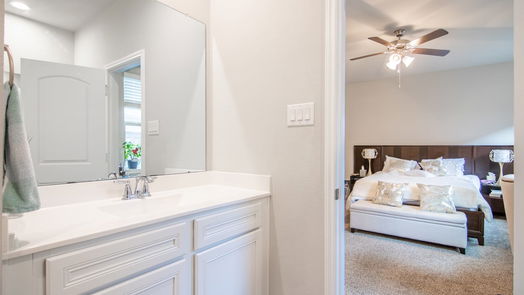Conroe 2-story, 4-bed 16880 Pink Wintergreen Drive-idx