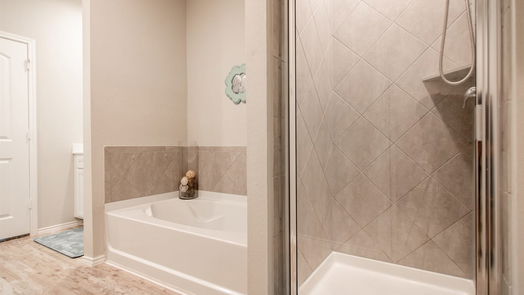 Conroe 2-story, 4-bed 16880 Pink Wintergreen Drive-idx