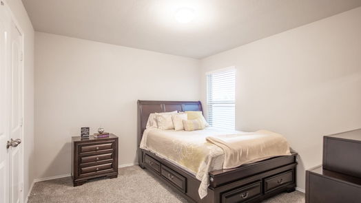 Conroe 2-story, 4-bed 16880 Pink Wintergreen Drive-idx