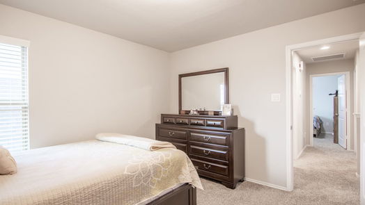 Conroe 2-story, 4-bed 16880 Pink Wintergreen Drive-idx