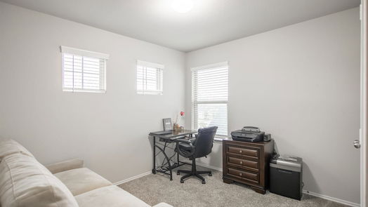 Conroe 2-story, 4-bed 16880 Pink Wintergreen Drive-idx