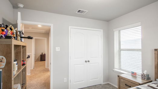 Conroe 2-story, 4-bed 16880 Pink Wintergreen Drive-idx