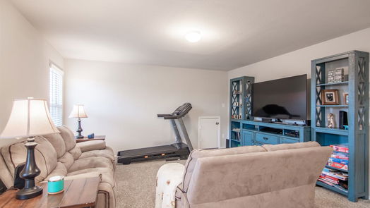 Conroe 2-story, 4-bed 16880 Pink Wintergreen Drive-idx