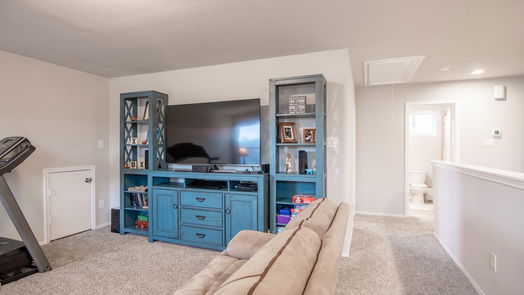 Conroe 2-story, 4-bed 16880 Pink Wintergreen Drive-idx