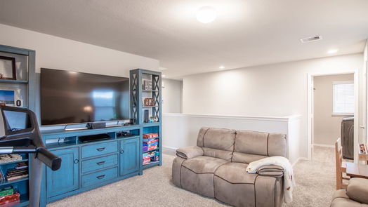 Conroe 2-story, 4-bed 16880 Pink Wintergreen Drive-idx