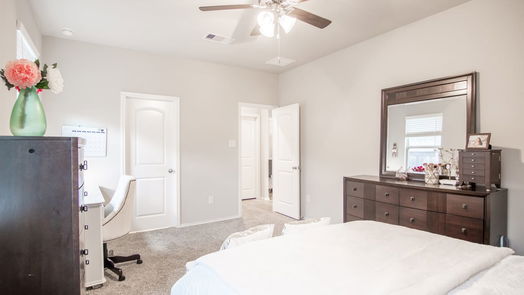 Conroe 2-story, 4-bed 16880 Pink Wintergreen Drive-idx