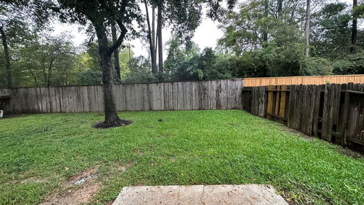 Conroe 2-story, 4-bed 79 Hockenberry Place-idx