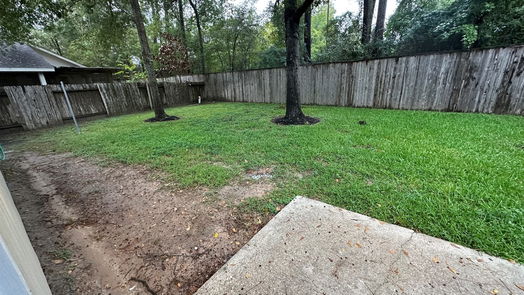 Conroe 2-story, 4-bed 79 Hockenberry Place-idx