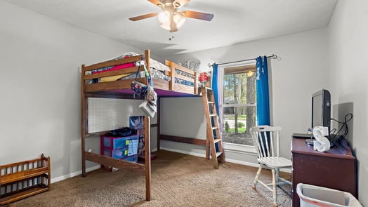 Conroe 1-story, 4-bed 27017 N Harlan Lane-idx