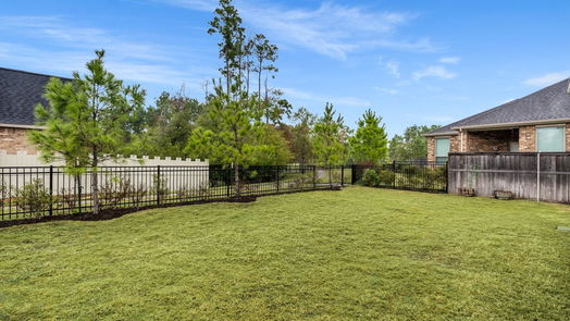 Conroe 2-story, 4-bed 17008 Ash Leaf Way-idx