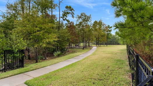 Conroe 2-story, 4-bed 17008 Ash Leaf Way-idx