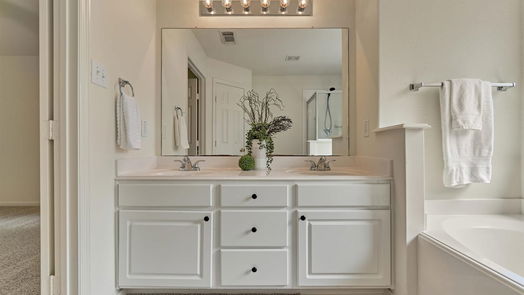 Conroe 1-story, 3-bed 32503 Hadden Park Court-idx