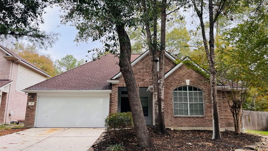 Conroe 1-story, 3-bed 10 Florian Court-idx