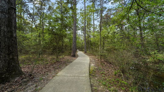 Conroe 2-story, 3-bed 11979 White Oak Pass-idx