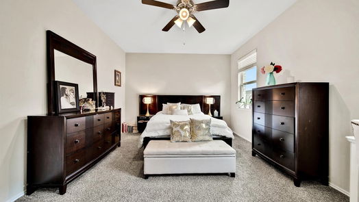 Conroe 2-story, 4-bed 16880 Pink Wintergreen Drive-idx