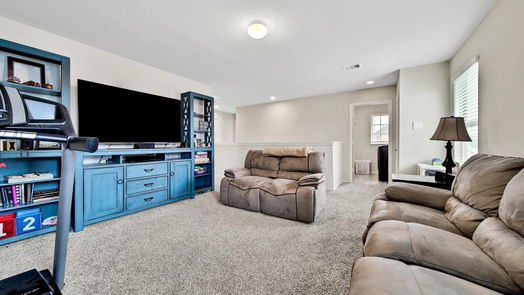 Conroe 2-story, 4-bed 16880 Pink Wintergreen Drive-idx