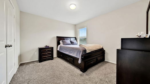Conroe 2-story, 4-bed 16880 Pink Wintergreen Drive-idx
