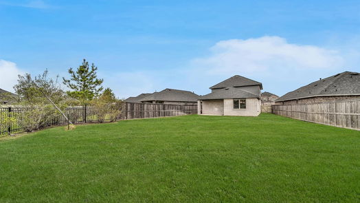 Conroe 2-story, 4-bed 16880 Pink Wintergreen Drive-idx