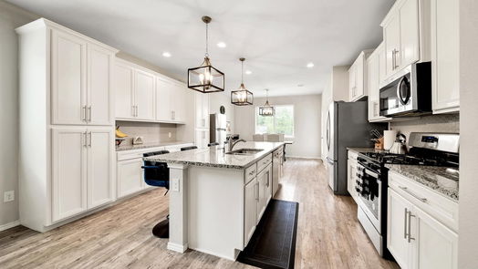Conroe 2-story, 4-bed 16880 Pink Wintergreen Drive-idx