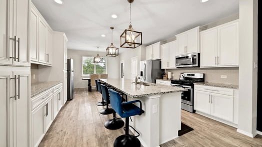 Conroe 2-story, 4-bed 16880 Pink Wintergreen Drive-idx