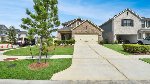 Conroe 2-story, 4-bed 17681 Tree Of Heaven-idx