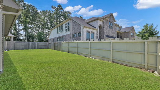 Conroe 2-story, 4-bed 10052 Red Beadtree Place-idx