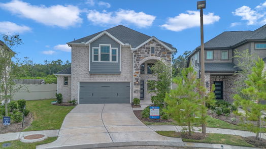 Conroe 2-story, 4-bed 17814 Tree Of Heaven-idx