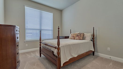 Conroe 1-story, 3-bed 9823 Sweet Flag Court-idx