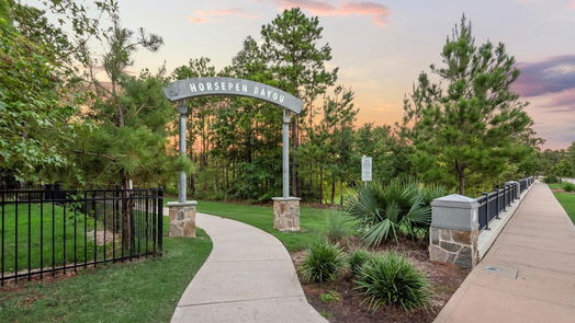 Conroe 2-story, 4-bed 10057 Red Beadtree Place-idx