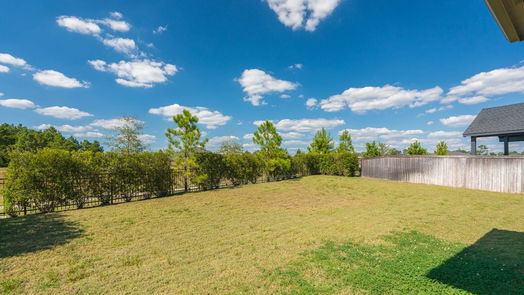 Conroe 2-story, 4-bed 10211 Bayou Oaks Drive-idx