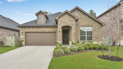 Conroe null-story, 3-bed 10033 Red Beadtree Place-idx