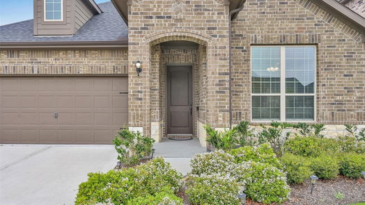 Conroe 1-story, 3-bed 10033 Red Beadtree Place-idx