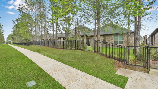 Conroe 1-story, 3-bed 10033 Red Beadtree Place-idx