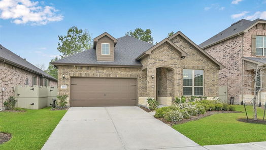 Conroe 1-story, 3-bed 10033 Red Beadtree Place-idx