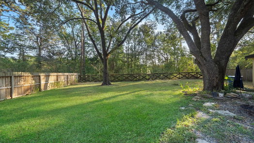 Conroe 1-story, 3-bed 808 Brook Hollow Drive-idx