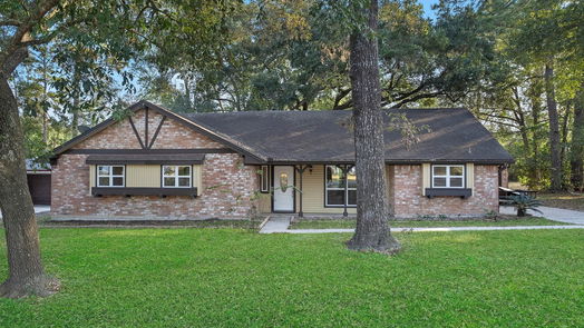 Conroe 1-story, 3-bed 808 Brook Hollow Drive-idx