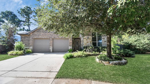 Conroe 2-story, 3-bed 8202 Horsetail Court-idx