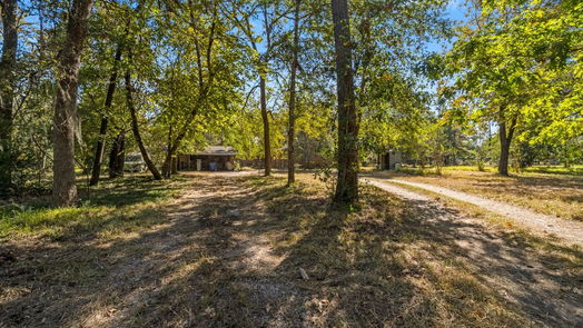 Conroe 1-story, 3-bed 18985 Pin Oak Road-idx