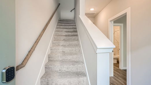 Shenandoah 3-story, 4-bed 18420 Idyllic Alley-idx