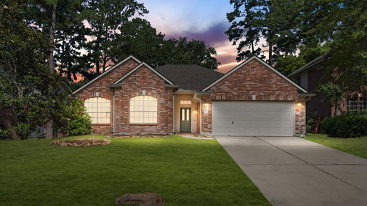 The Woodlands 1-story, 4-bed 39 N Misty Canyon Place-idx