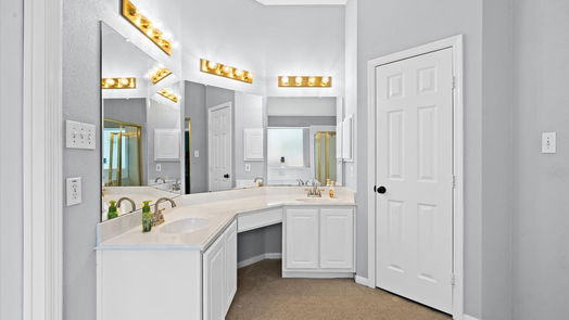 The Woodlands 1-story, 4-bed 39 N Misty Canyon Place-idx