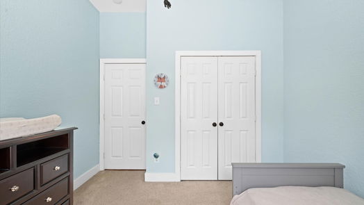 The Woodlands 1-story, 4-bed 39 N Misty Canyon Place-idx
