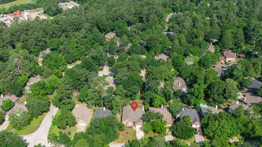 The Woodlands 1-story, 4-bed 39 N Misty Canyon Place-idx