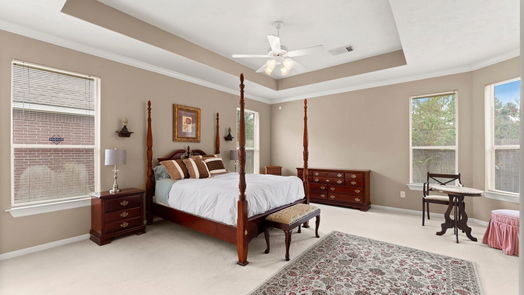 The Woodlands 1-story, 4-bed 115 Prairie Dawn Circle-idx