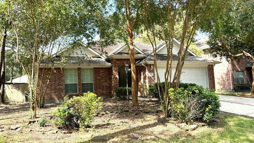 The Woodlands 1-story, 3-bed 11 Bowie Bend Court-idx