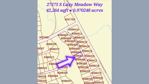 Spring null-story, null-bed 27575 S Lazy Meadow Way-idx